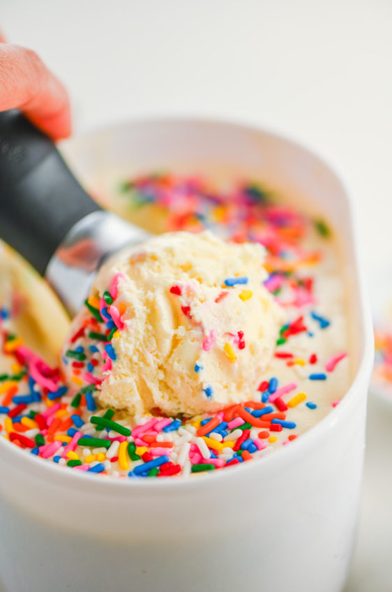 Birthday Cake Batter Ice Cream Recipe 