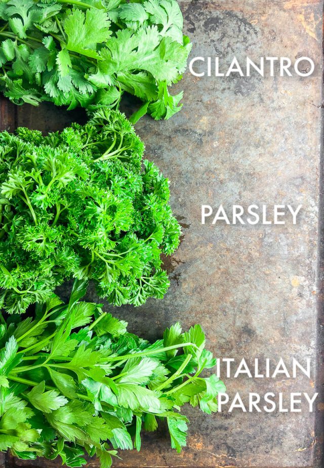 Ultimate Guide To Cooking With Herbs - Life's Ambrosia