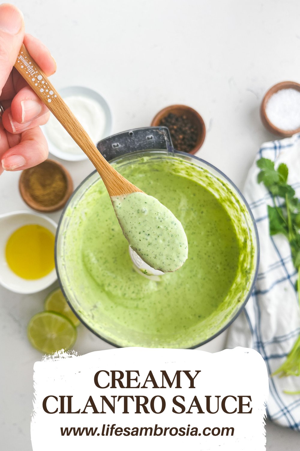 Creamy Cilantro Sauce Recipe Life S Ambrosia   Creamy Cilantro Sauce  