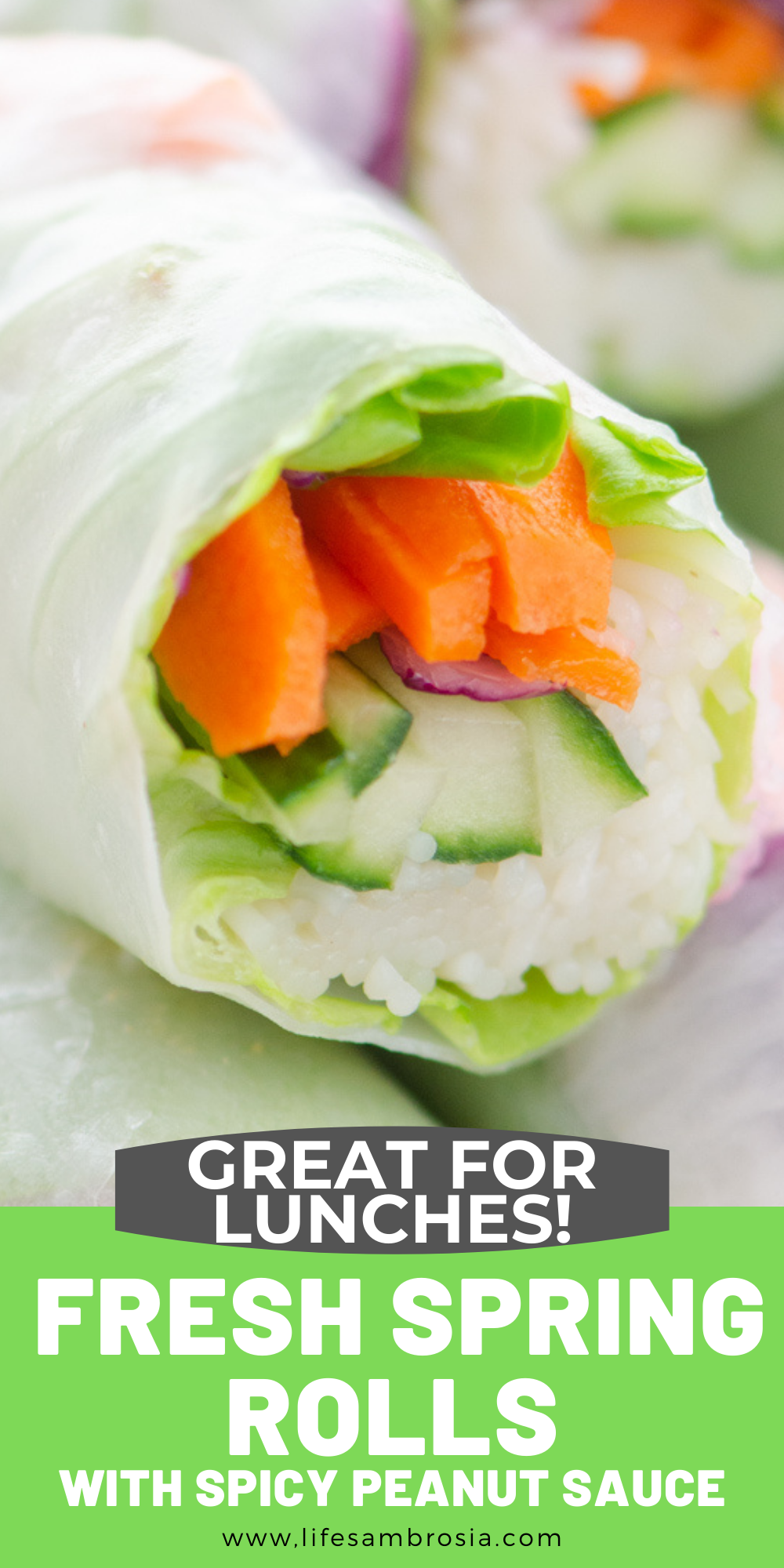 Fresh Spring Rolls with Spicy Peanut Sauce - Life's Ambrosia