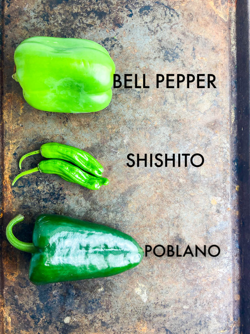 Guide To Chile Peppers - Life's Ambrosia