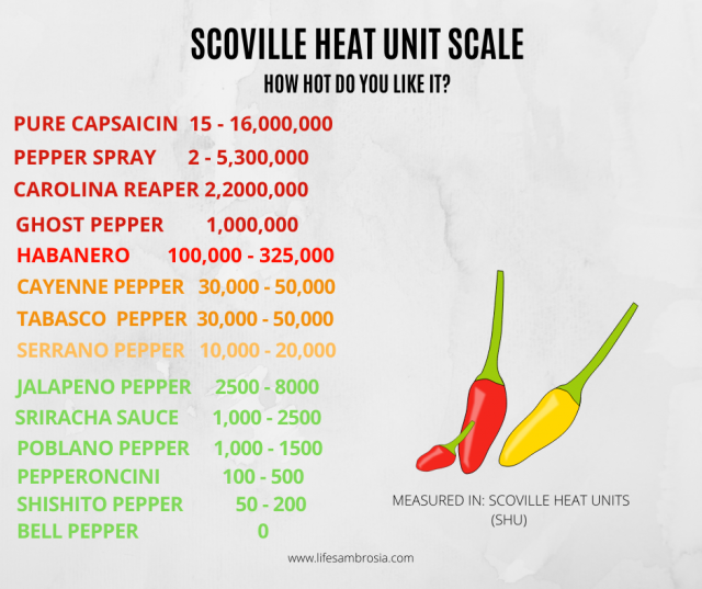 The Scoville Scale: How Hot Is That Pepper?