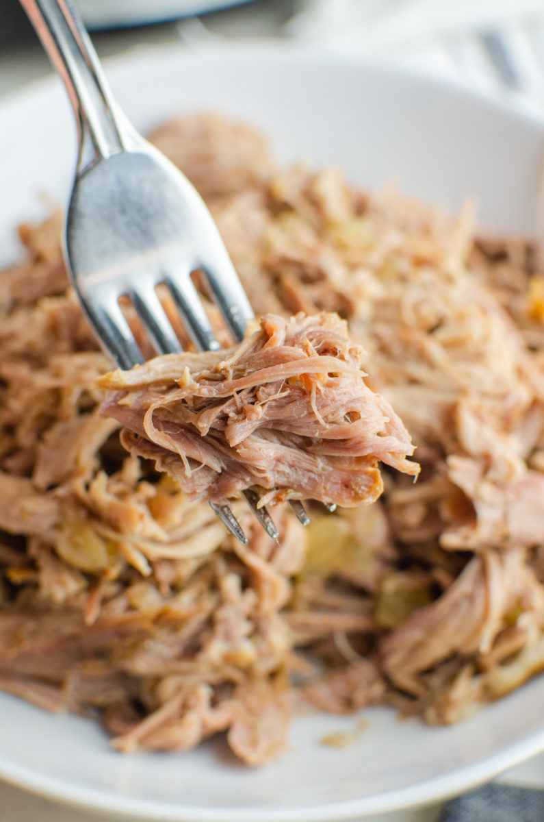 Slow Cooker Pulled Pork Recipe Photo 01 795x1200 