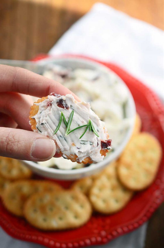 10 Holiday Party Appetizers - Life's Ambrosia