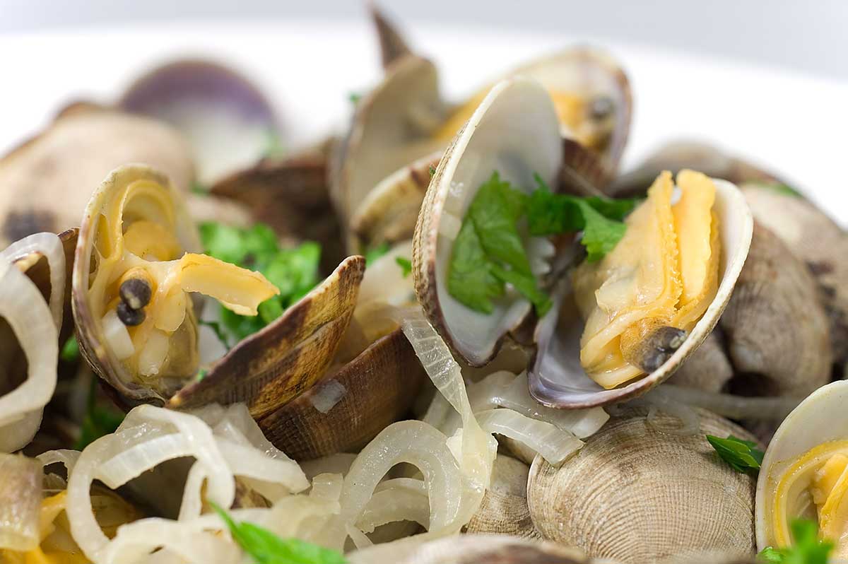 Steamed Clams with White Wine, Garlic and Butter - Craving California