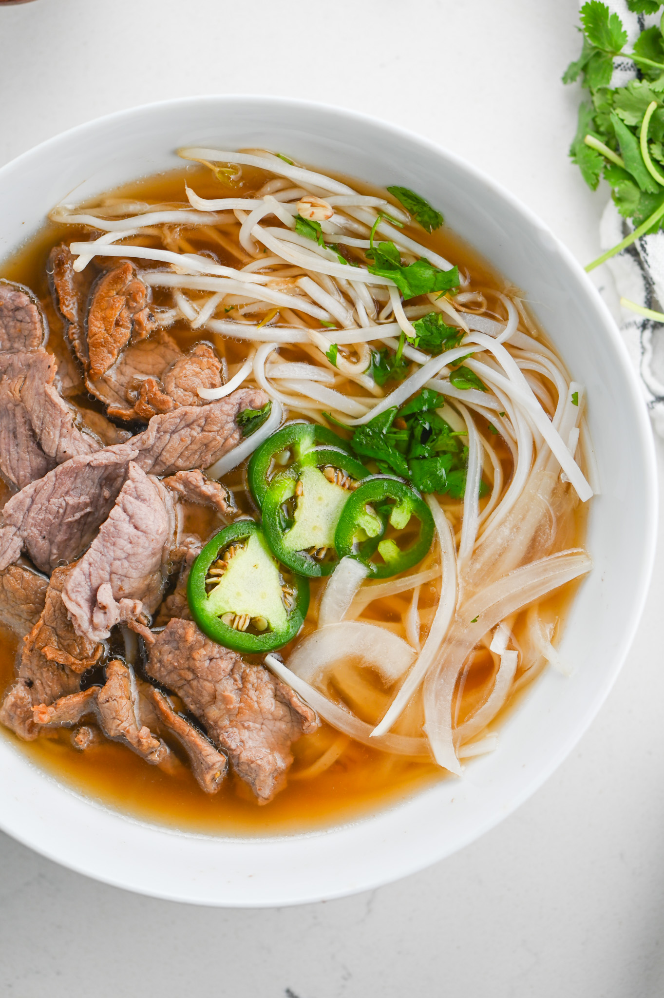 Beef Noodle Soup - Life's Ambrosia