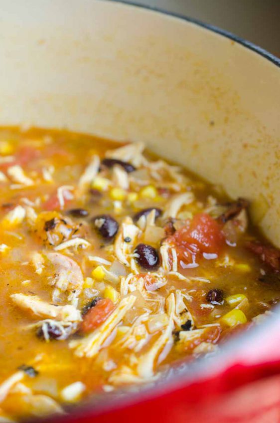 Chicken Tortilla Soup - Life's Ambrosia