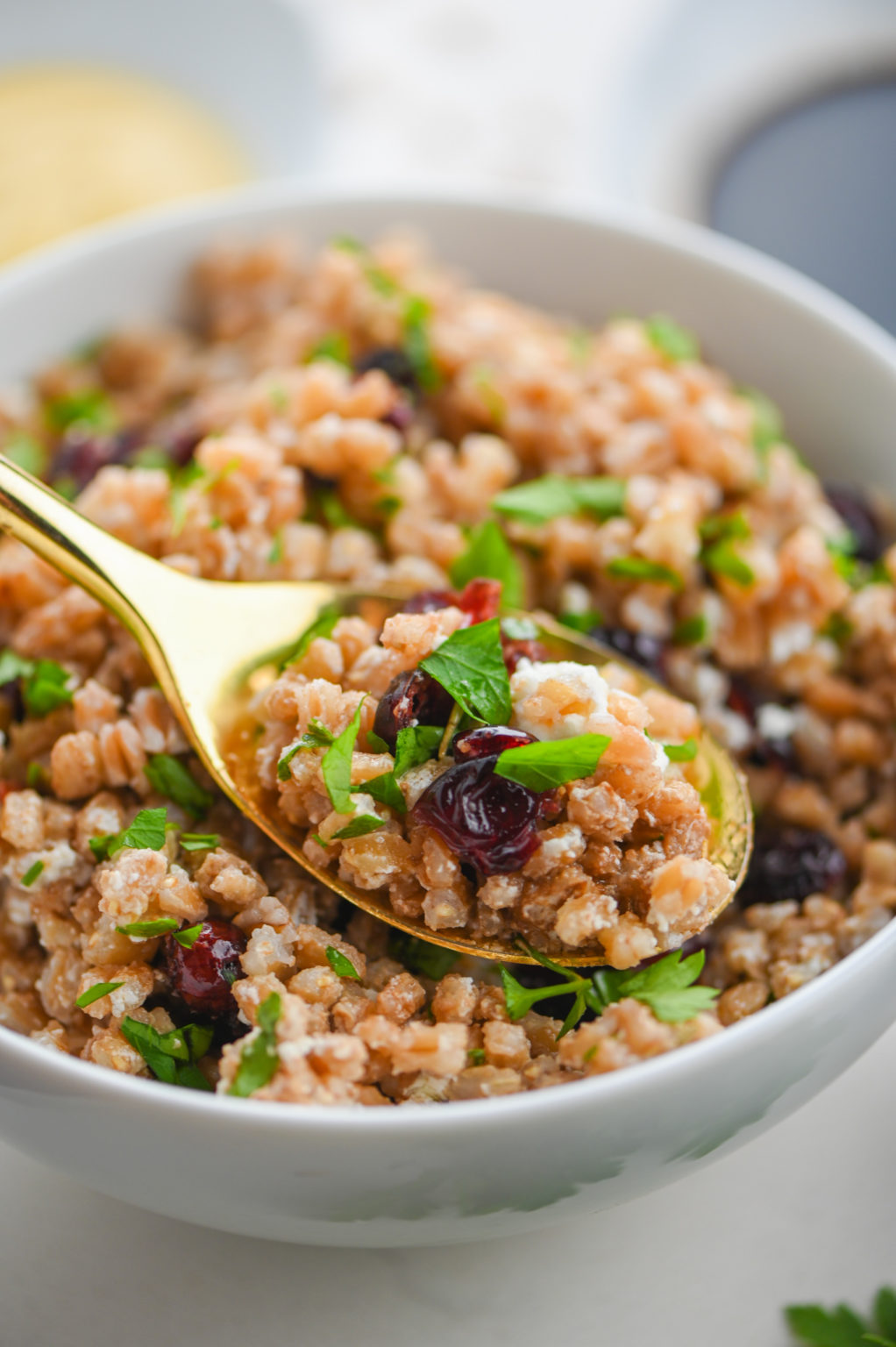 Farro, Cranberry and Goat Cheese Salad - Life's Ambrosia