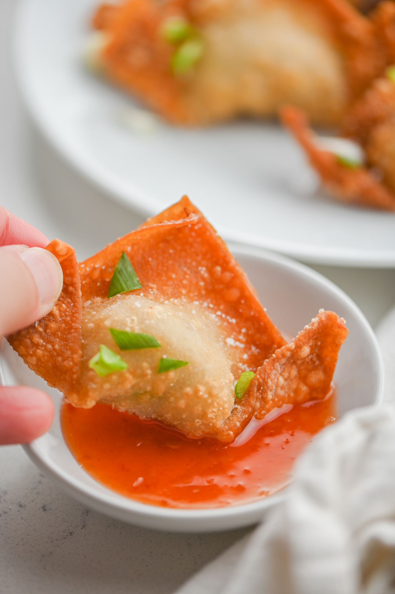 Fried Pork Wontons Recipe | Life's Ambrosia