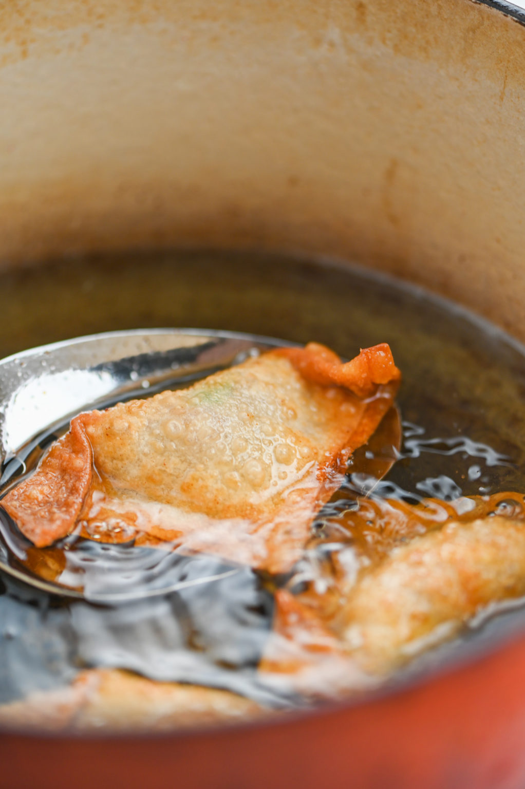 Fried Pork Wontons Recipe Lifes Ambrosia