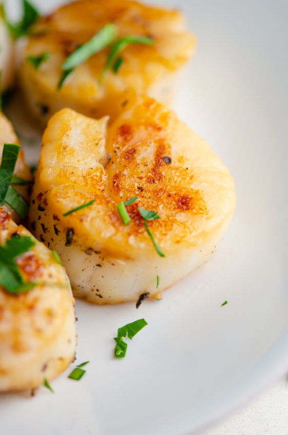 Pan Seared Sea Scallops - Life's Ambrosia