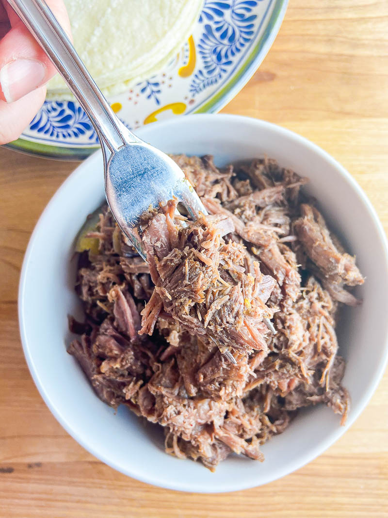 Slow Cooker Shredded Beef Recipe - Life's Ambrosia