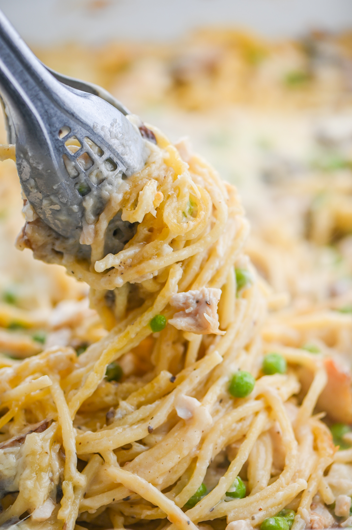 Easy Turkey Tetrazzini Life S Ambrosia   XTurkey Tetrazzini Recipe 09 .pagespeed.ic.I I8 UEQDl 