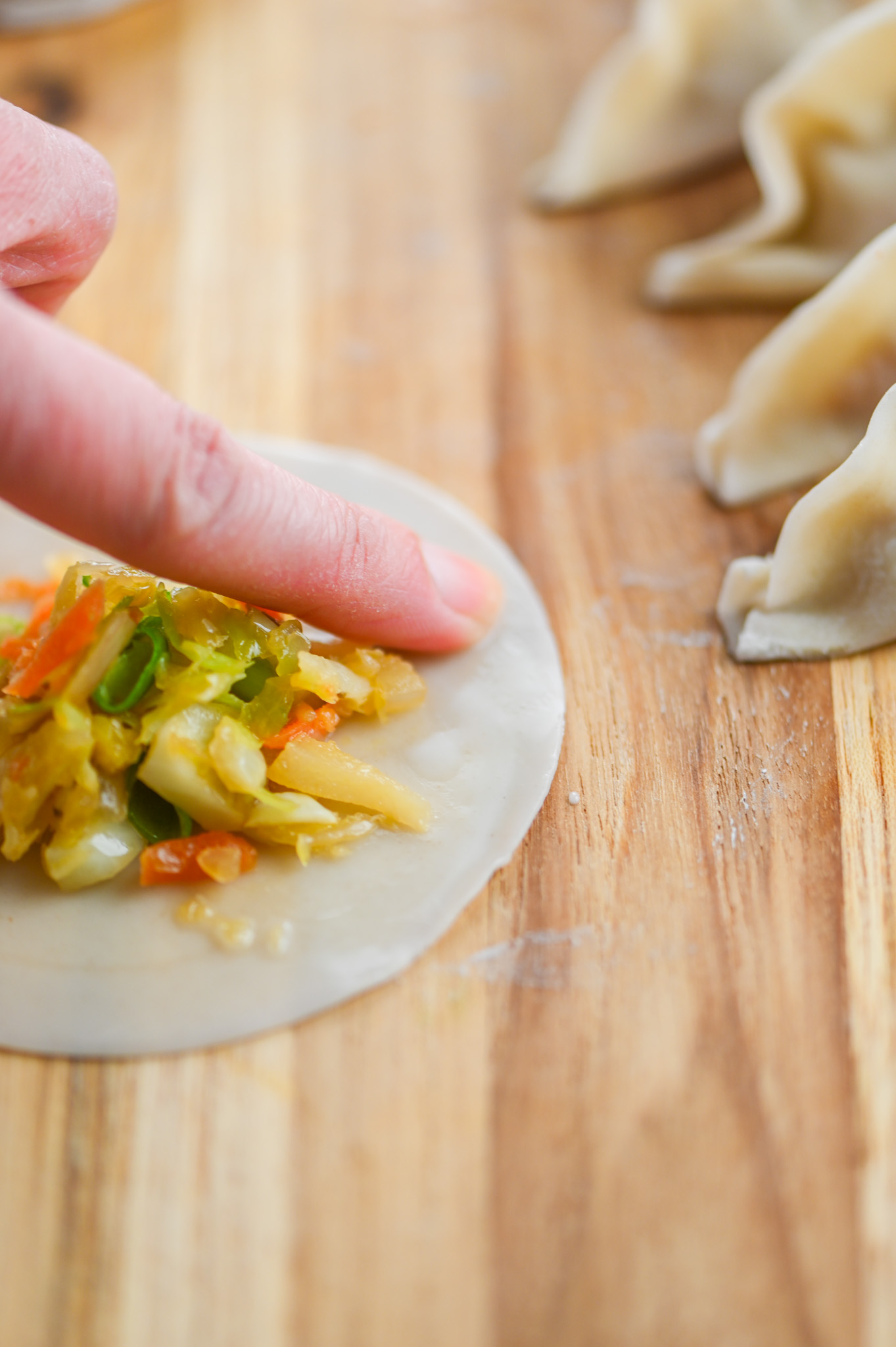 Vegetable Potstickers Recipe | Life's Ambrosia